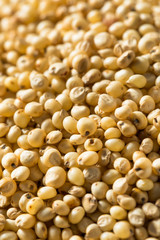 Raw Organic Sorghum Grain