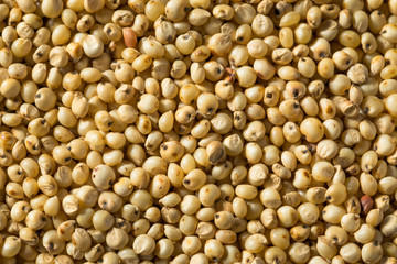 Raw Organic Sorghum Grain