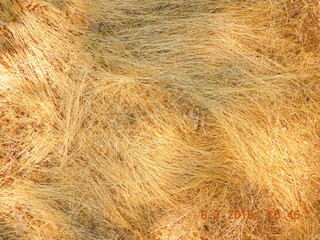 Texture Hay