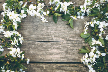 white cherry flowers on old, wooden boards, cherry branch. View from above.