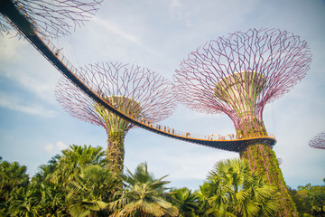 Gardens by the bay park in Singapore.