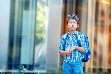 Portrait of cute school boy with backpack