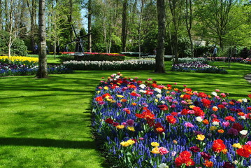 Wiosenny ogród