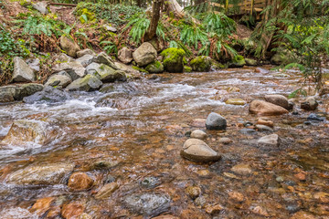 Majestic mountain river in Vancouver, Canada.