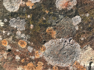 Stone wall texture