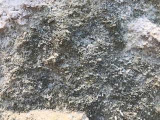 Heavy degenerated stone