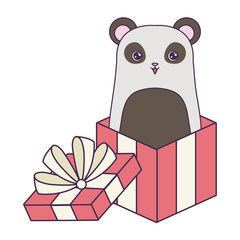 panda bear animal in gift box