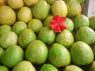 guava - large amounts of guava fruit, fresh guava fruit, guava fruit in a basket