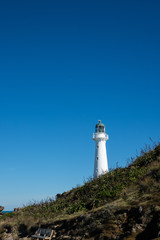 Castlepoint Lighthouse in the Wairarapa, New Zealand