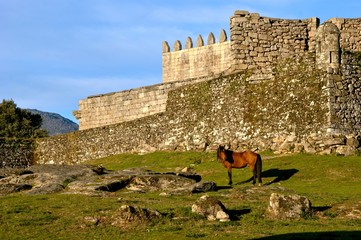 Horse near Lindoso castle in National Park of Peneda Geres