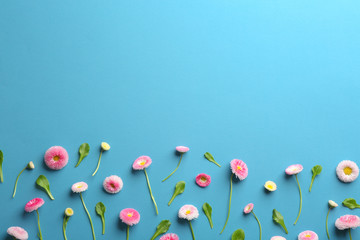 Flat lay composition with spring daisy flowers and space for text on color background