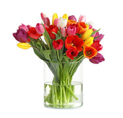 Vase with beautiful spring tulip flowers on white background