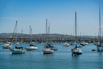 Naklejka premium Sail Boats in Newport California