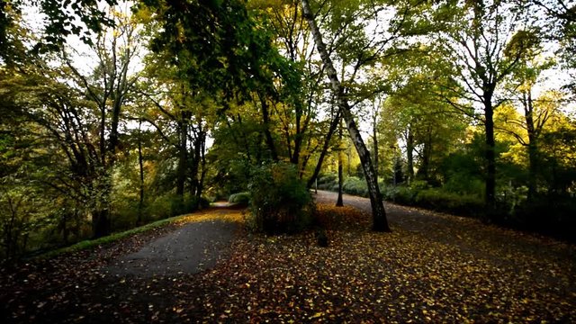 Autumnal Impressions from City Park (Fennsee) in Berlin Wilmersdorf from October 25, 2016, Germany 