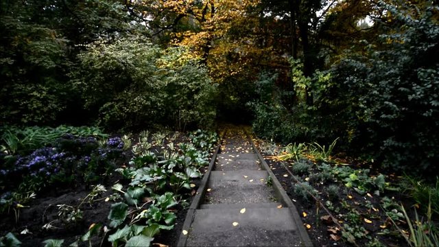 Autumnal Impressions from City Park (Fennsee) in Berlin Wilmersdorf from October 25, 2016, Germany 