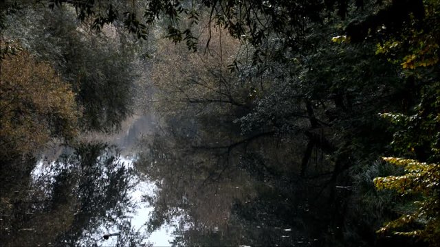 Autumnal Impressions from City Park (Fennsee) in Berlin Wilmersdorf from October 25, 2016, Germany 