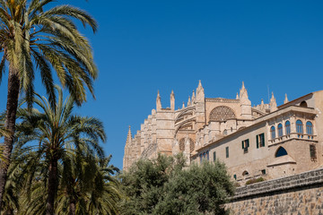Fototapeta premium Catedral de Palma de Mallorca, Islas Baleares. España.
