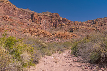 Desert Mountains Viewed from a Desert Wash