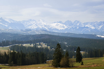 Fototapeta na wymiar Landscape with snowy peaks of Polish Tatra Mountains and green grassy fields and coniferous trees on the hills.