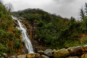 Fototapeta na wymiar Beautiful landscape view of waterfall flowing around rocks with greens and stones.