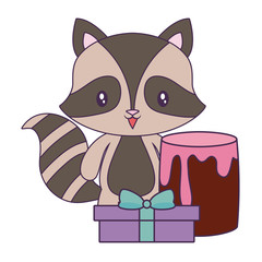 cute raccoon with cake of birthday and gift box