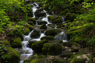 Cascade of water flows down moss covered rocks in Lost Valley state park near Ponca Arkansas.
