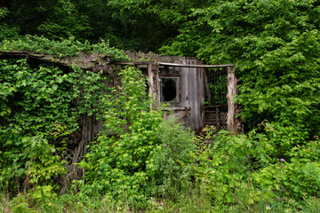 Overgrown building near Hot springs Arkansas looks post apocalyptic as the wild vines, weeds and brush overtake the old weathered structure.