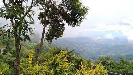 Obraz premium Paisagem