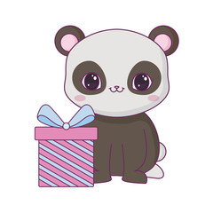 panda bear animal with gift box