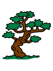 wald bonsai bäumchen kleiner baum mini winzig süß niedlich garten gärtner blume pflanze blumentopf dekoration liebe clipart comic cartoon design