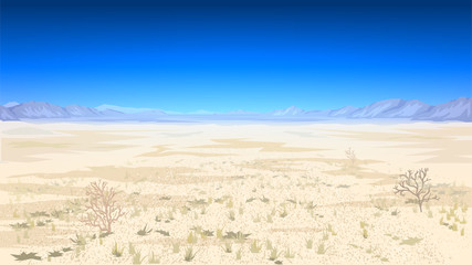 Fototapeta na wymiar Desert landscape, hot dry day, Texas, Wadi