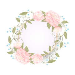 Round romantic frame with pink peonies on a white background, a wreath of flowers