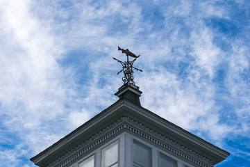 Fish shaped weather vane, against the blue sky, at an upward angle