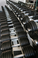Naklejka na ściany i meble Stand with dumbbells of different weight in the gym