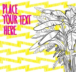 Banana palm trees. Freehand drawing with pencil. Background for text. Summer background. Trees with large leaves, tropical trees.