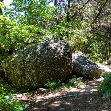 Trail at Lost Maples State Natural Area in the Hill Country of central Texas