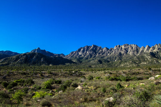 Dawn light at Organ Mountains-Desert Peaks National Monument in New Mexico