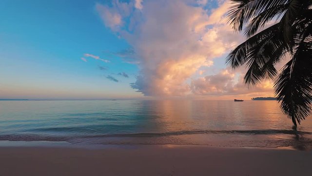Sunrise over tropical island beach and palm trees. Punta Cana, Dominican Republic.