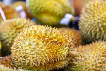 Naklejka na ściany i meble Fresh durian