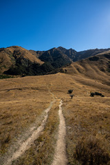 The rolling hills of Arrowtown in New Zealand at the start of Autumn