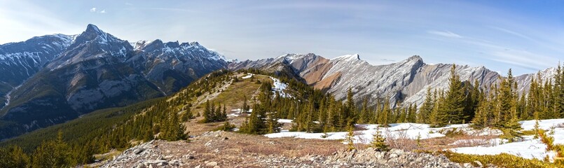 Fototapeta na wymiar Wide Panoramic Landscape View of Exshaw Mountain Ridge, Green Meadows and Distant Snowcapped Canadian Rockies Peaks on a sunny Springtime Day in Alberta near Banff National Park