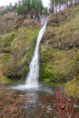 Horsetail Falls, Columbia River Gorge
