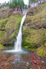 Obraz premium Horsetail Falls, Columbia River Gorge