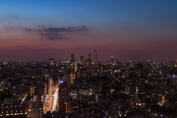Fototapeta na wymiar 文京区からみた東京の夜景と車の光跡