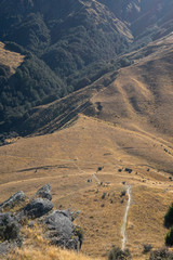 Fototapeta premium The rolling hills of Arrowtown in New Zealand at the start of Autumn