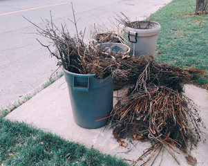 Trash litter bins with cut old dry tree branches. Waste on ground.  Care and protection of...