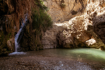 En Gedi - Dead Sea - Israel 