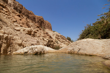 En Gedi - Dead Sea - Israel 