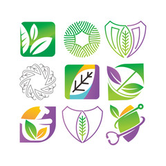 Leaf Logo Design Vector Template Set