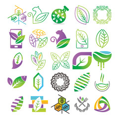 Leaf Logo Design Vector Template Set
